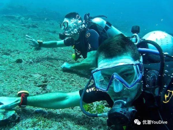 甜美公主的绚丽装扮