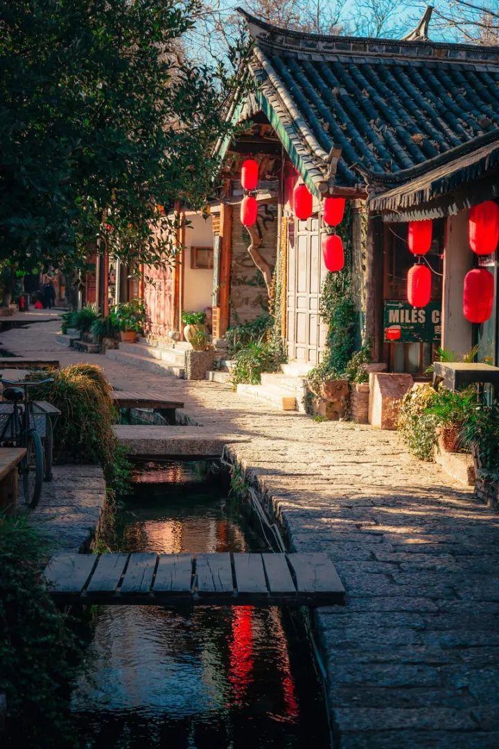 包水饺简单的手法游戏画面